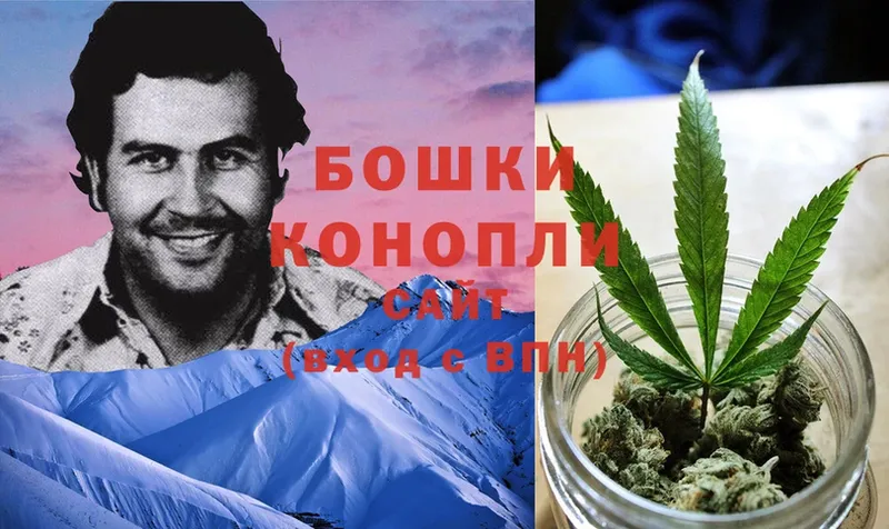 Бошки Шишки White Widow  где купить   Аргун 